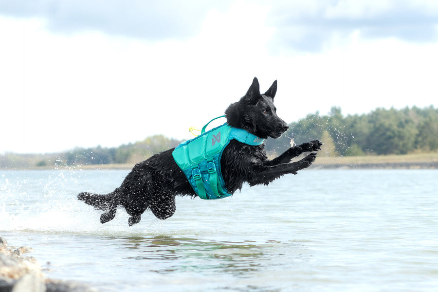 Protector life jacket (1)
