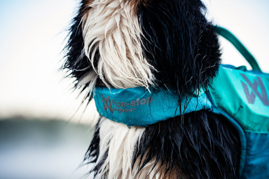 Protector life jacket (14)