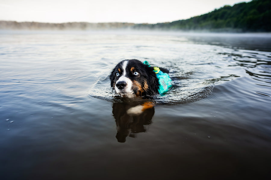 Protector life jacket (16)