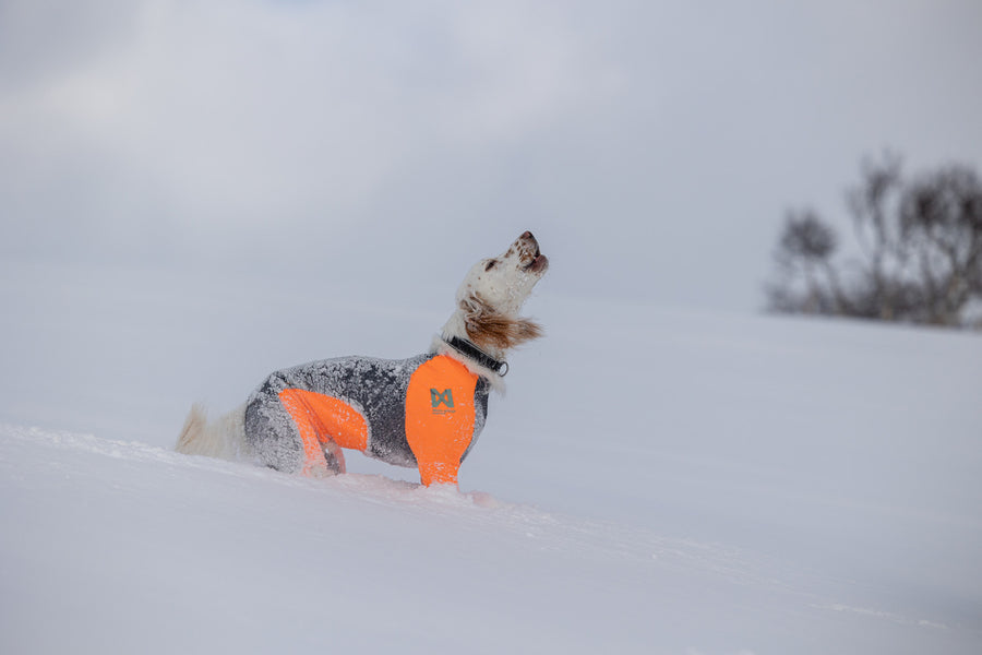 Protector snow male (3)