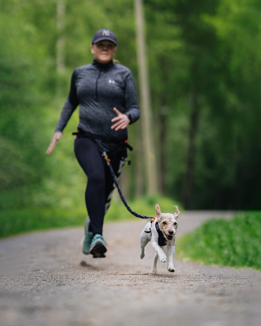 Ramble harness (13)