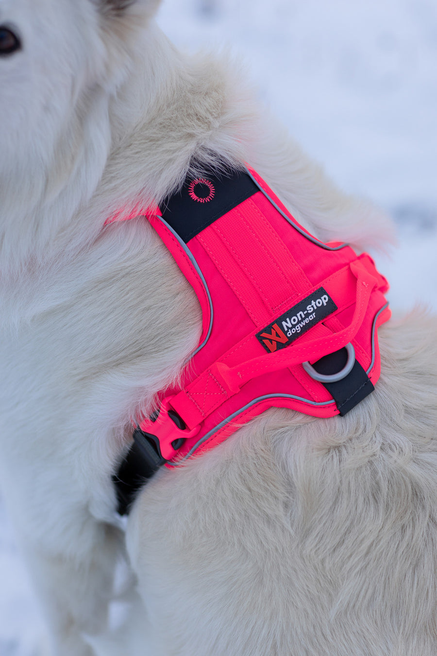 Ramble harness (18)