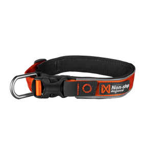 Dog collars
