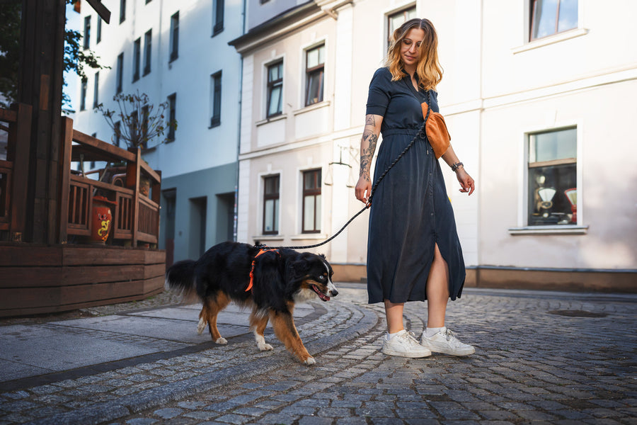 Rock adjustable leash (4)