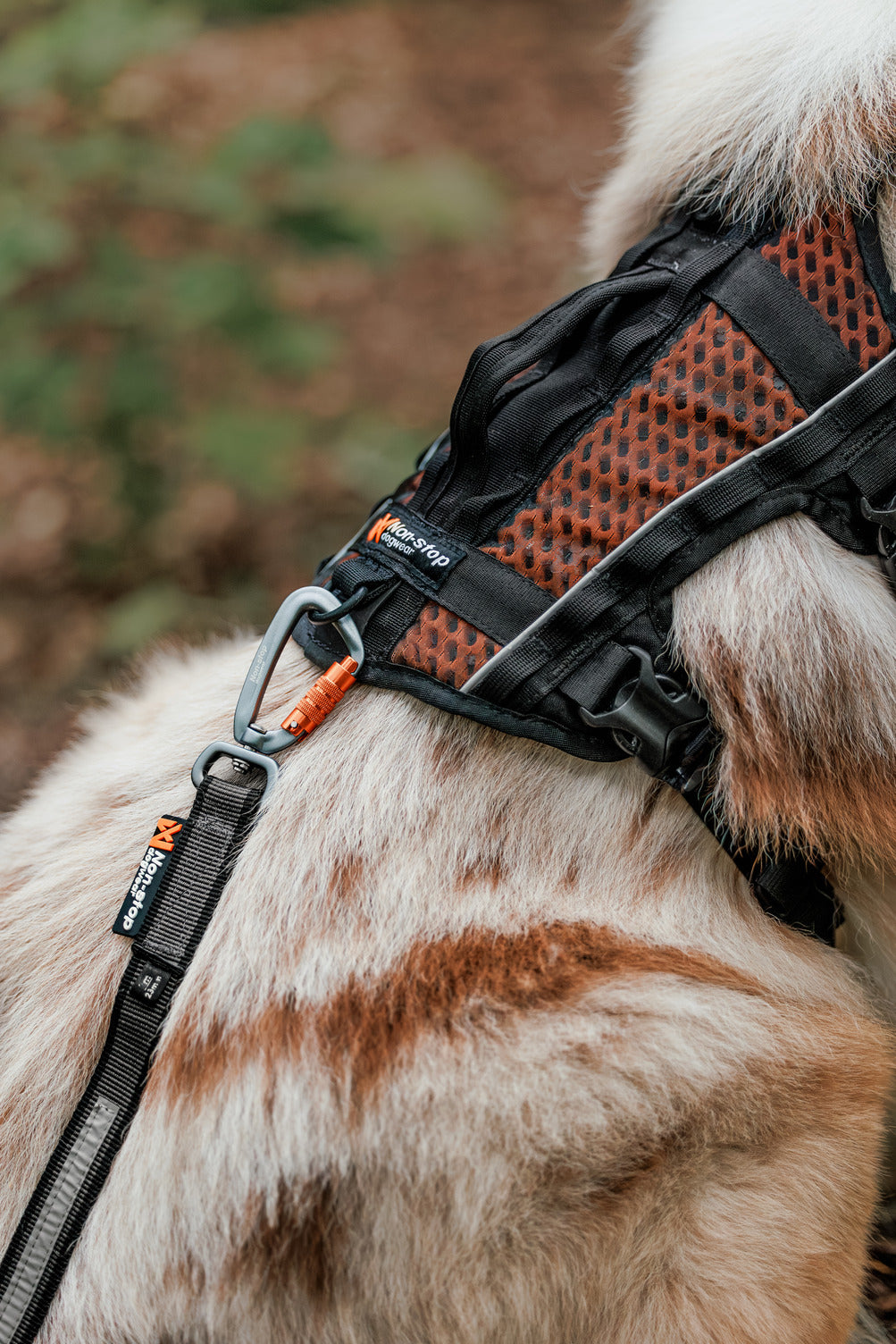 Rock harness long (4)