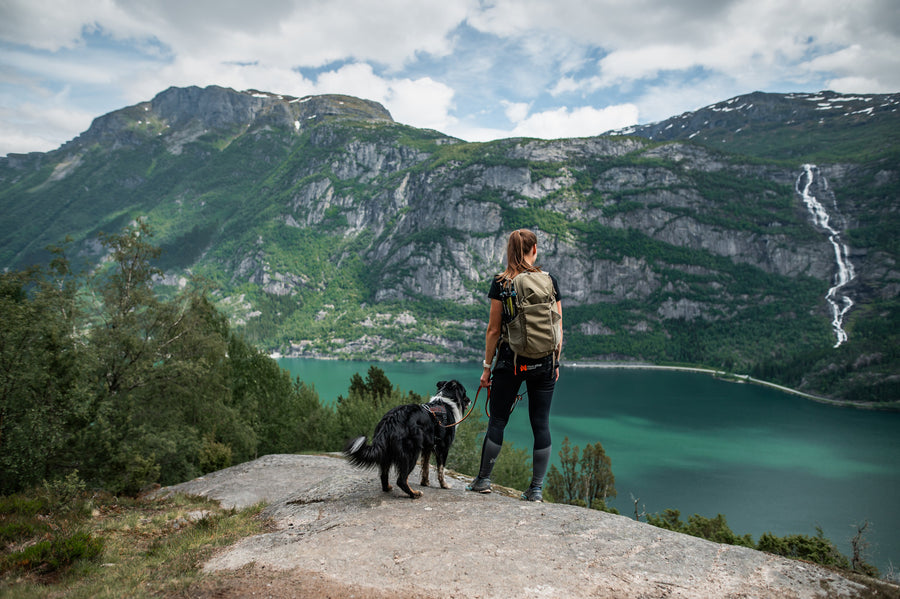 Rock harness long (3)
