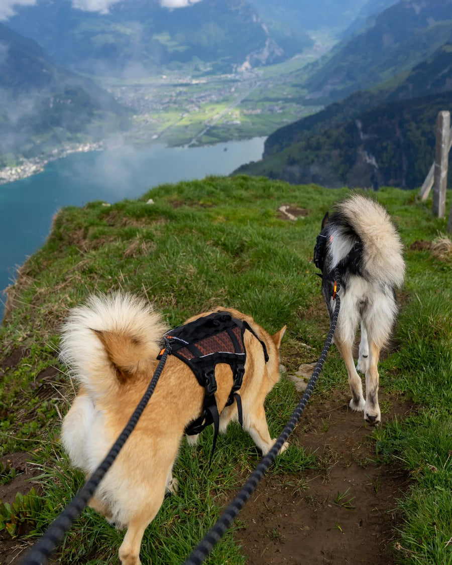Rock leash (2)