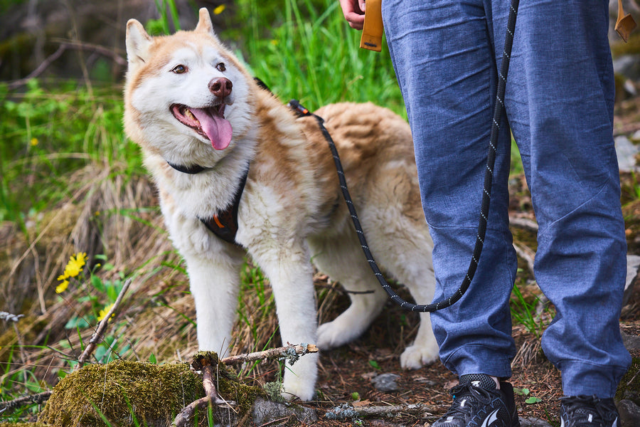 Rock leash (5)