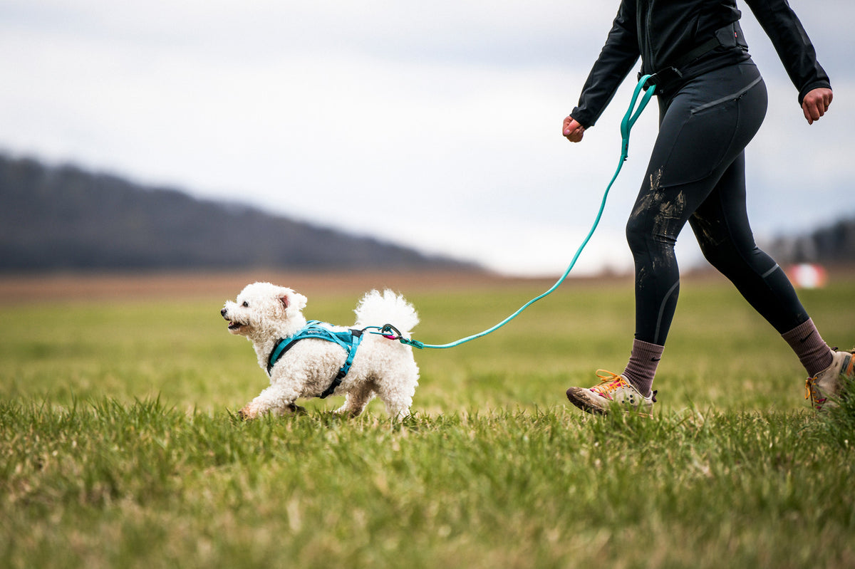Rush harness (7)