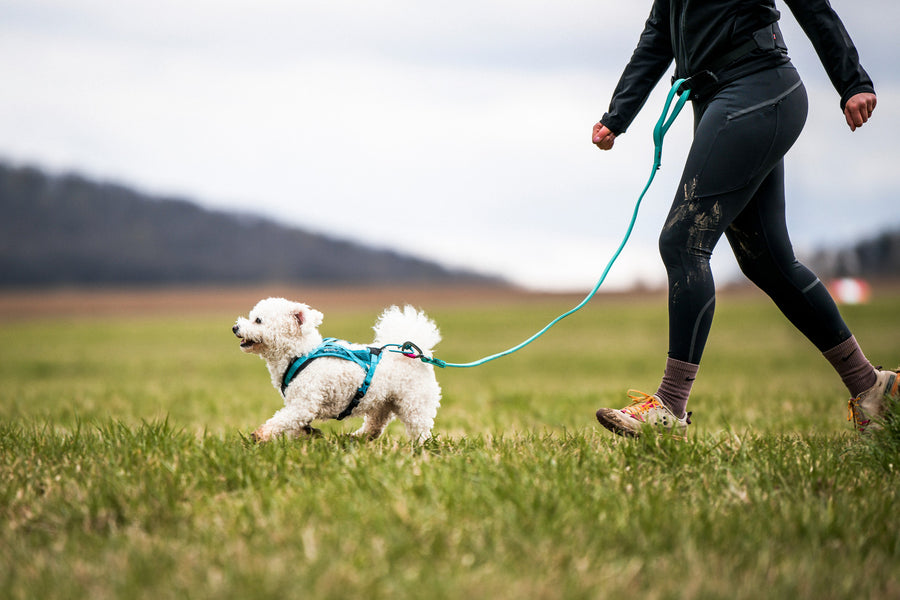 Rush harness (7)