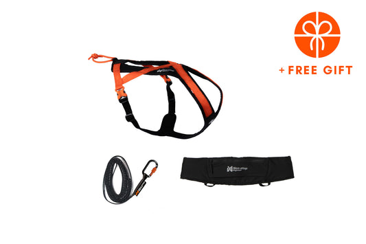 Rush kit Orange/black