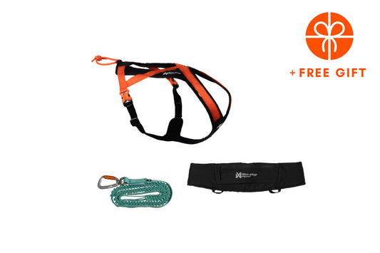 Rush kit Orange/black