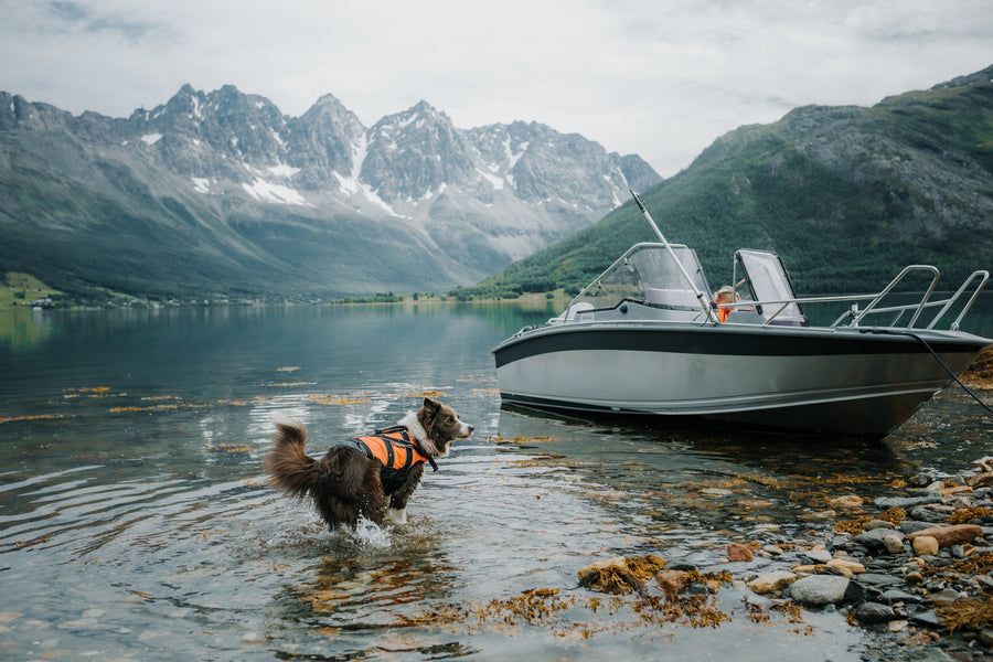 Safe life jacket 2.0 (4)