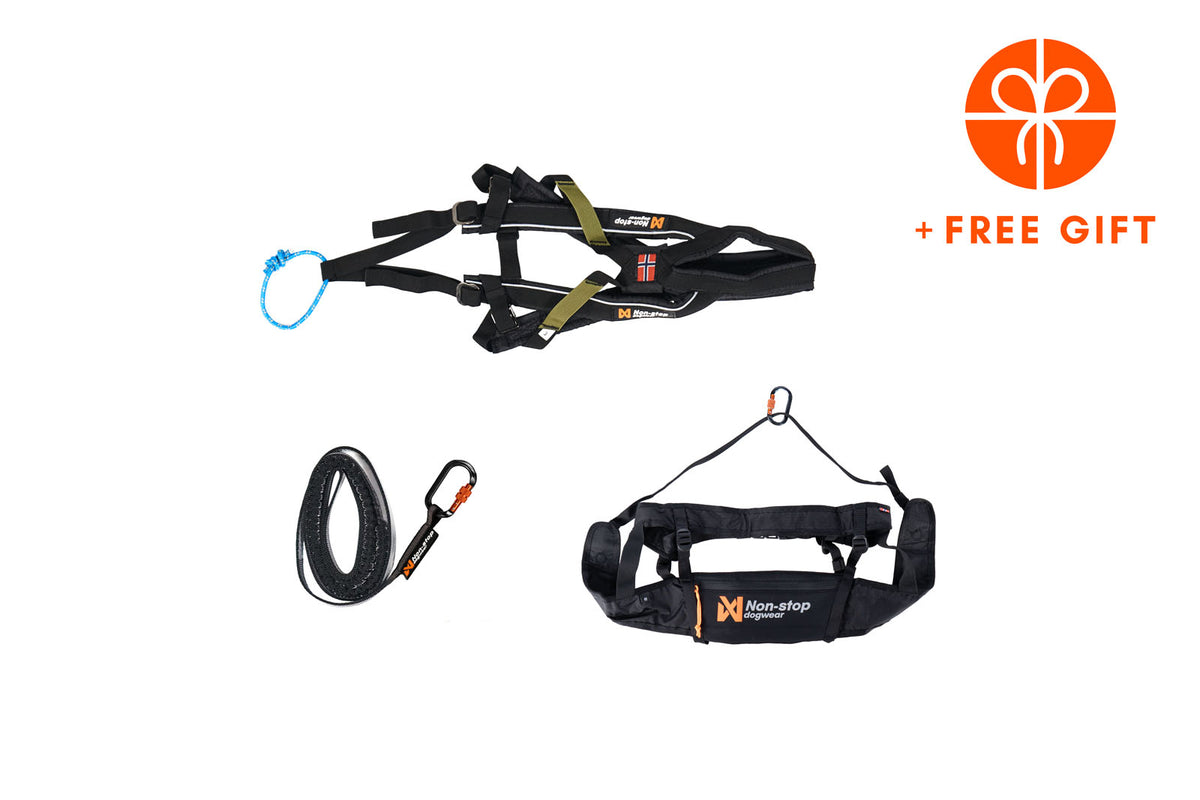 Small dog canicross starter kit – Non-stop dogwear