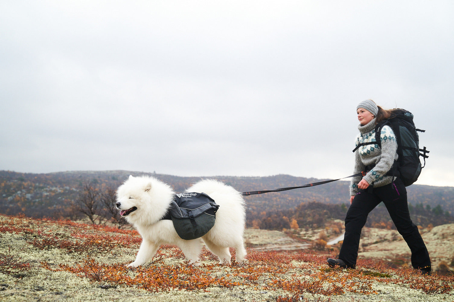 Hands free dog leash | Touring bungee adjustable – Non-stop dogwear