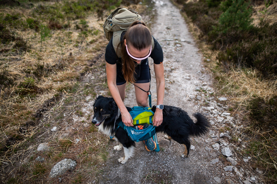 Trail quest dog backpack (8)