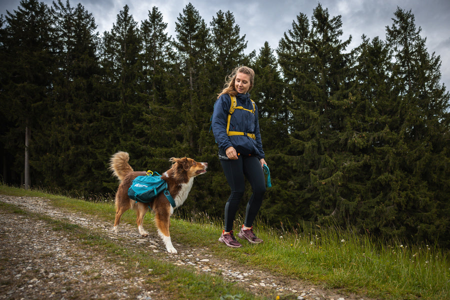 Trail quest dog backpack (6)
