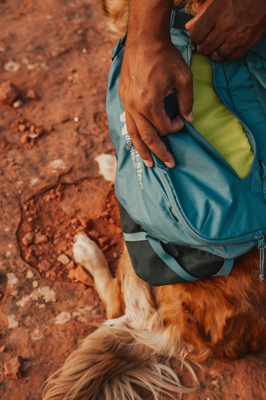 Trail quest dog backpack (4)