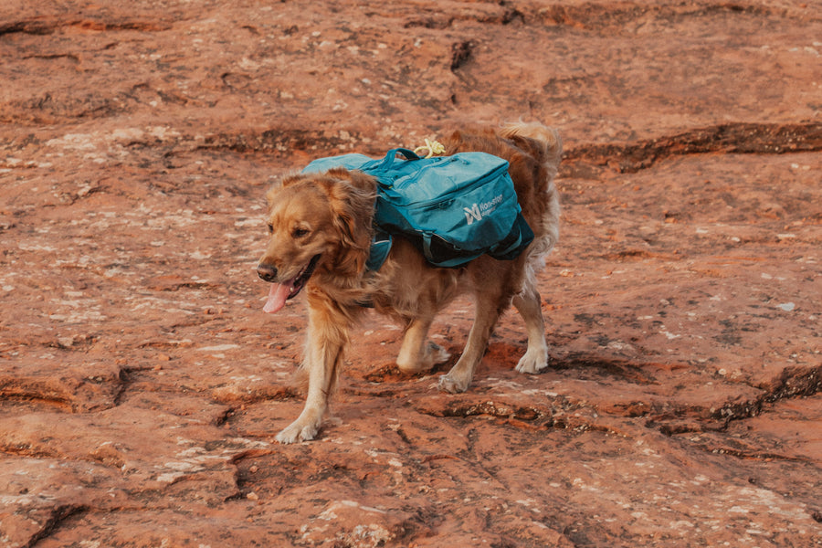 Trail quest dog backpack (3)