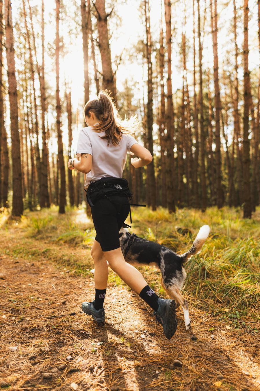 Trail light belt (6)