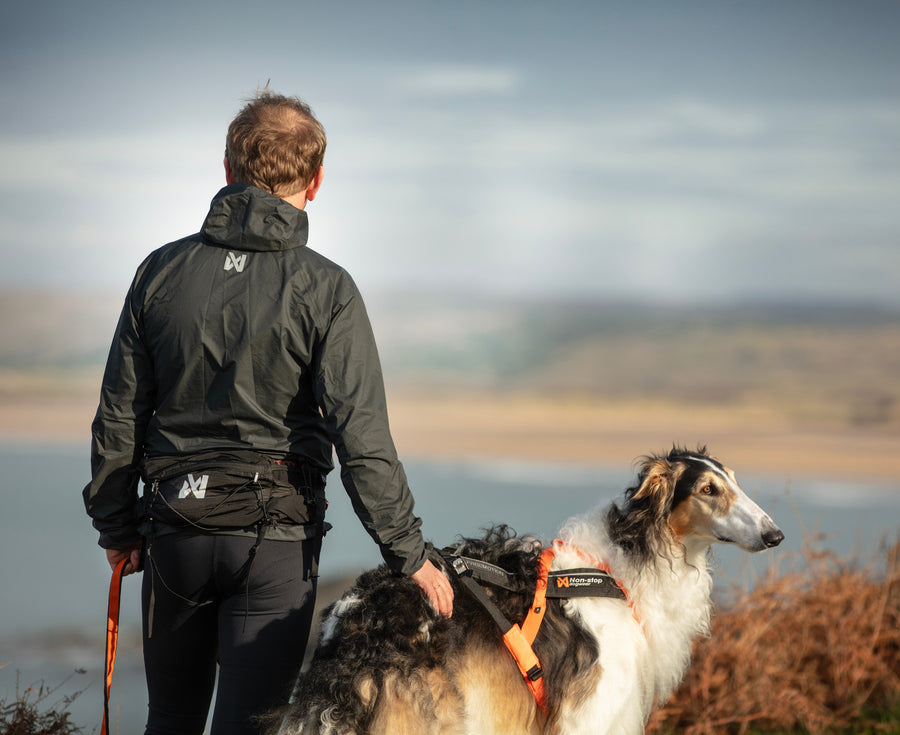 Trail light belt (5)