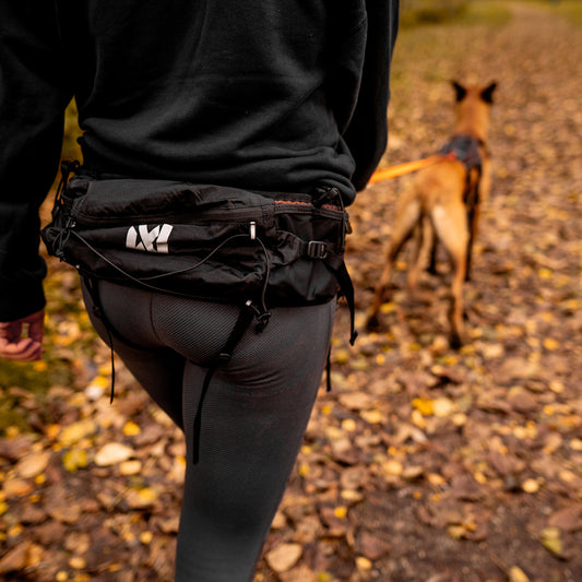 Trail light belt (1)