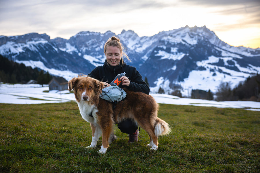 Trail light dog backpack (1)