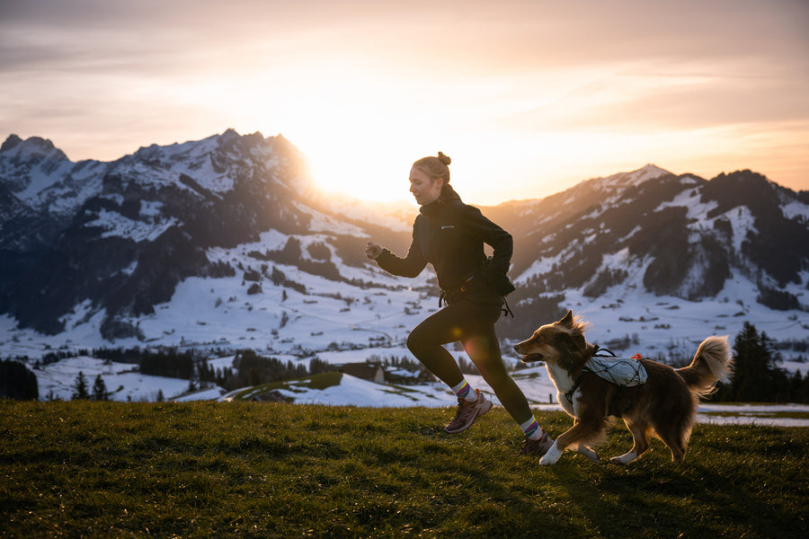 Trail light dog backpack (6)