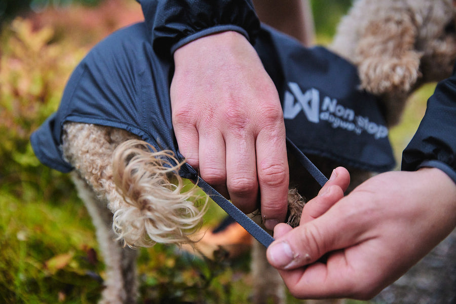 Trail light dog jacket (4)