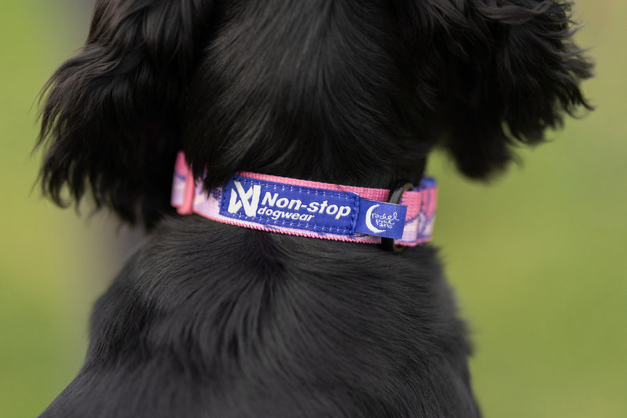 Trail quest collar Rachel Pohl edition (8)