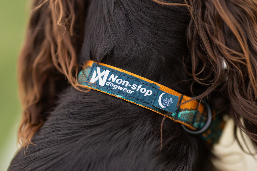 Trail quest collar Rachel Pohl edition (5)