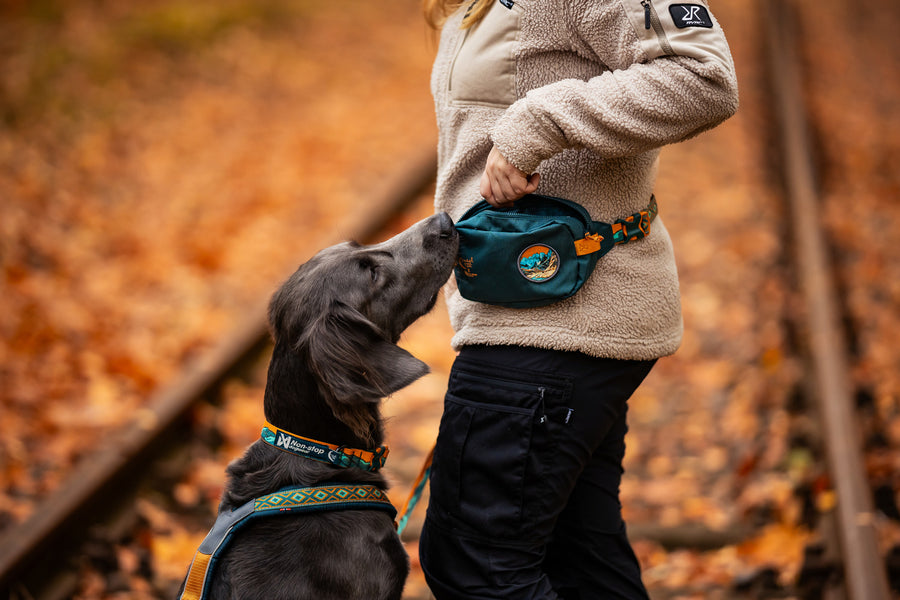 Trail quest fanny pack Rachel Pohl edition (1)