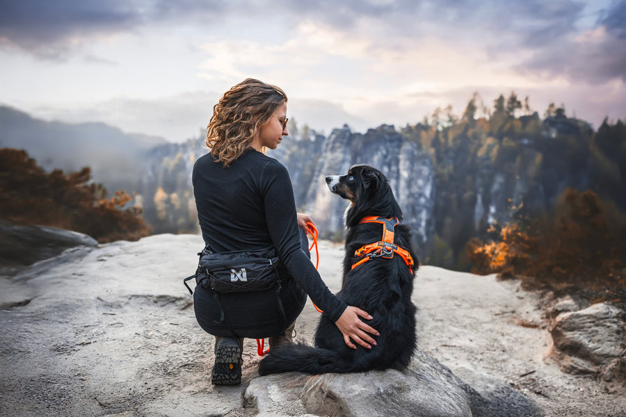 Trail light belt (8)