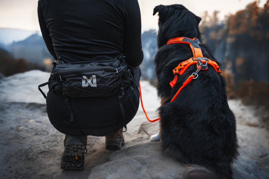 Trail light belt (7)