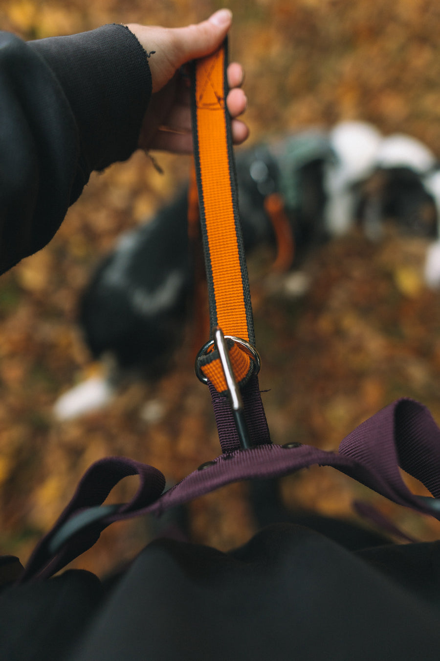 Trekking belt 2.0 (4)