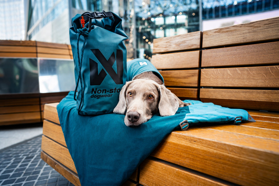 Trekking dog bed (5)