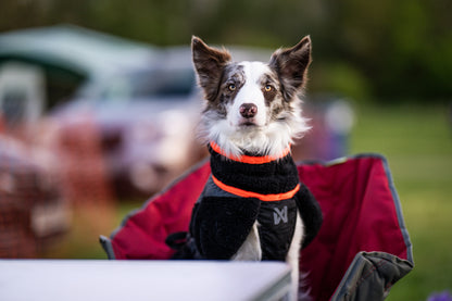 Trekking fleece dog jacket (9)