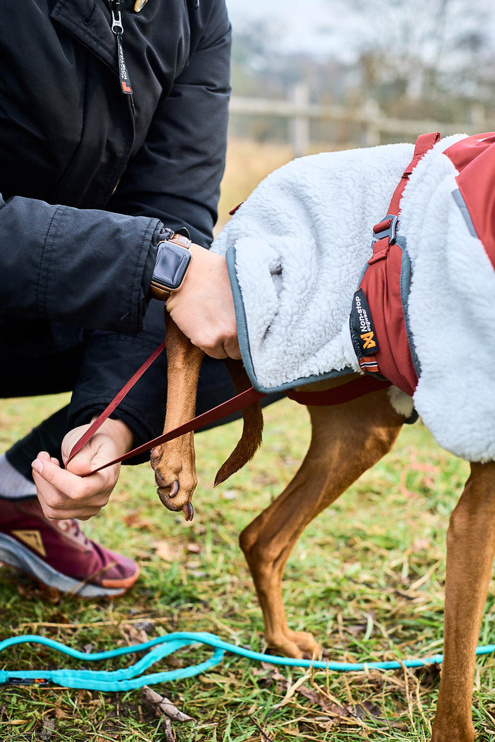 Trekking fleece dog jacket (3)