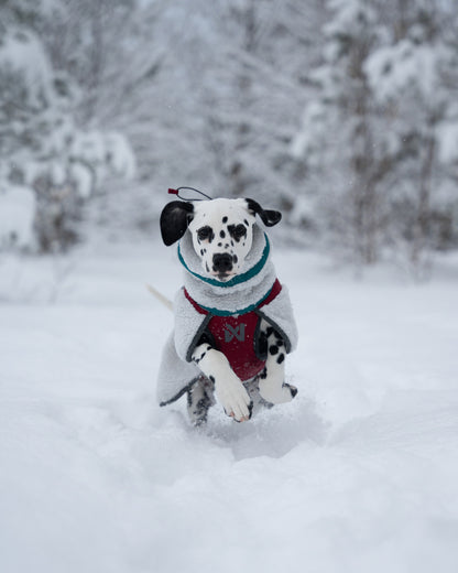 Trekking fleece dog jacket (5)