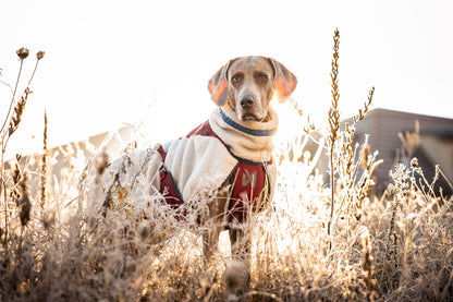 Trekking fleece dog jacket (6)