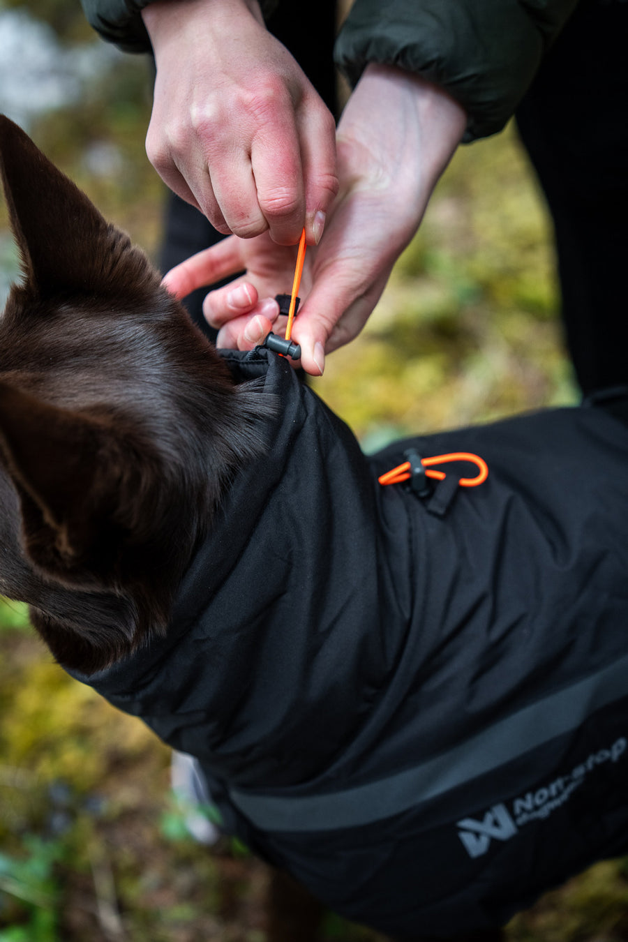 Trekking insulated dog jacket (6)