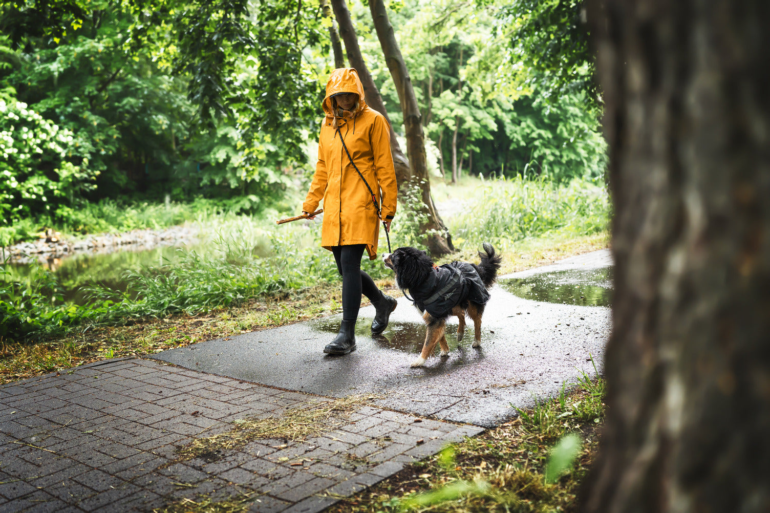 Raincoat for dogs | Trekking dog raincoat – Non-stop dogwear