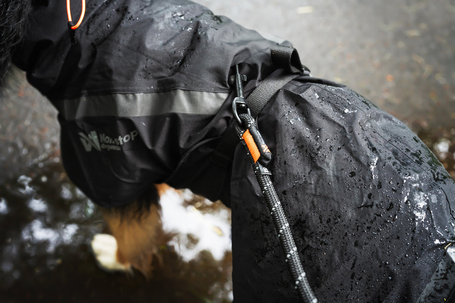 Trekking dog raincoat (3)