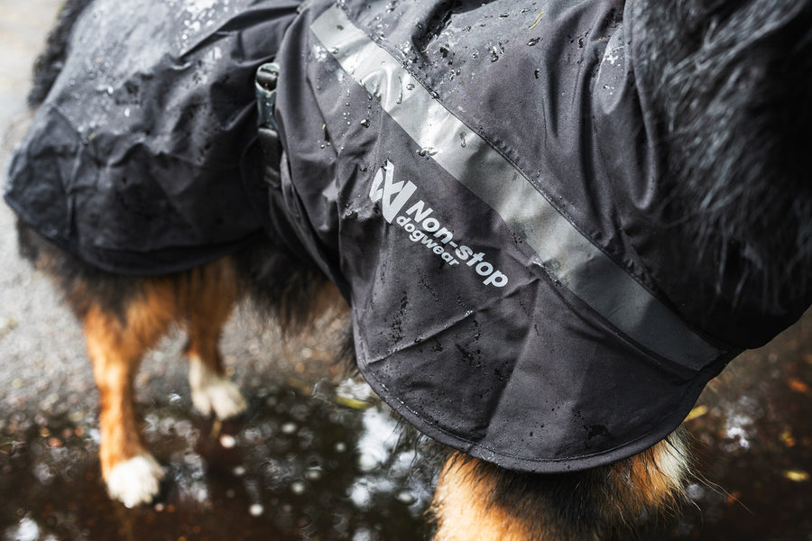 Trekking dog raincoat (4)