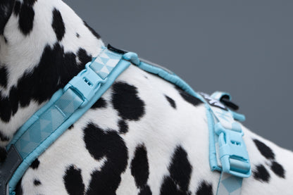 Trekking line harness CLIP'N™ (5)