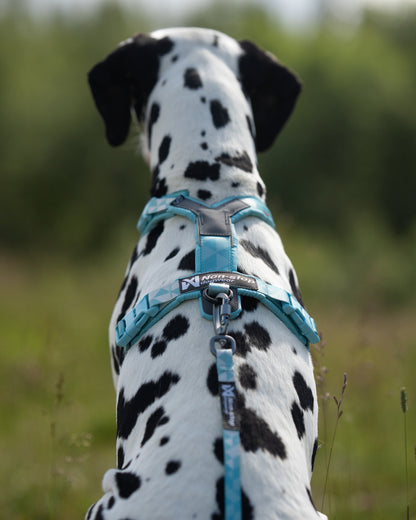 Trekking line harness CLIP'N™ (6)