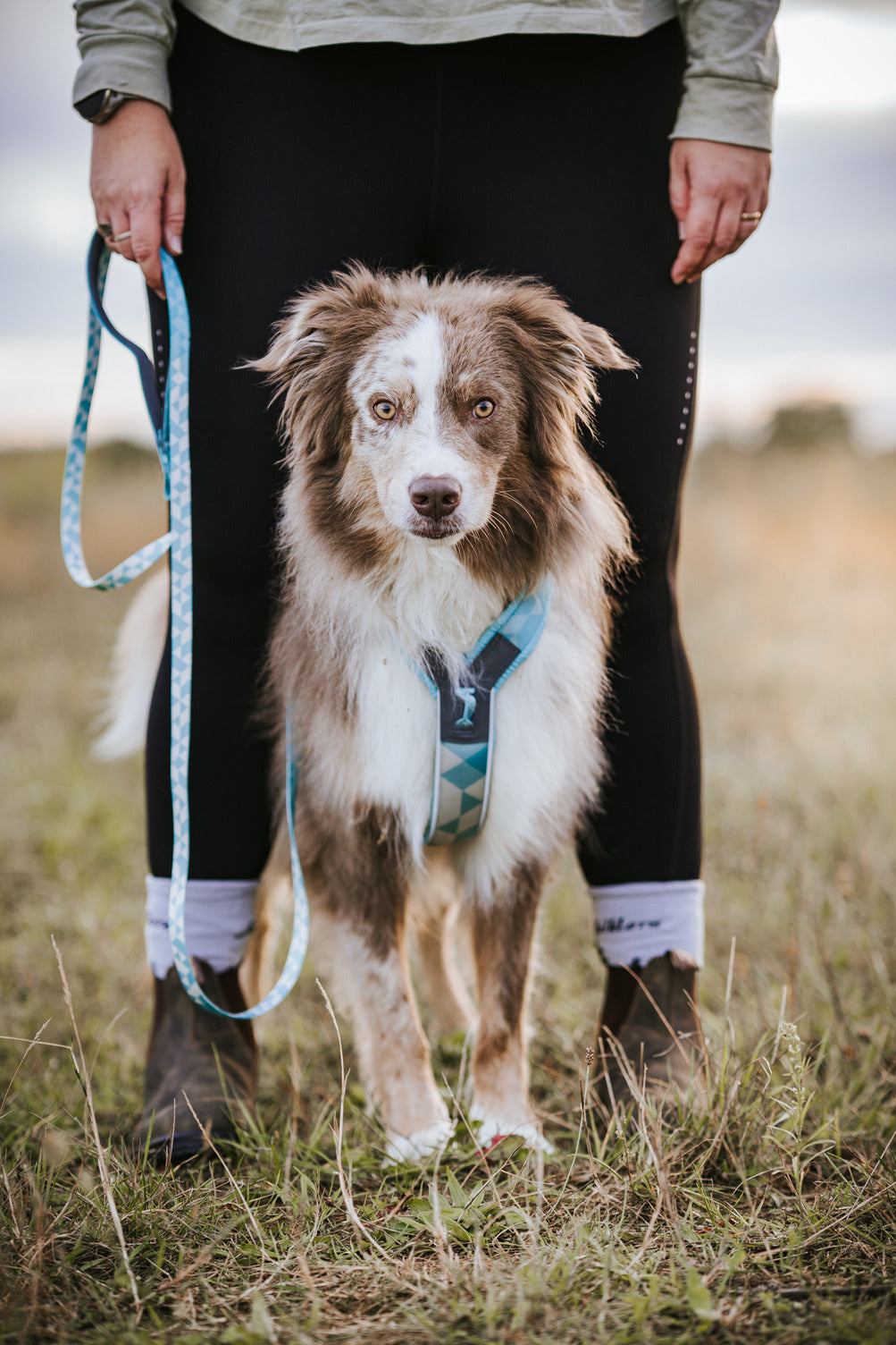 Trekking line harness CLIP'N™ (8)