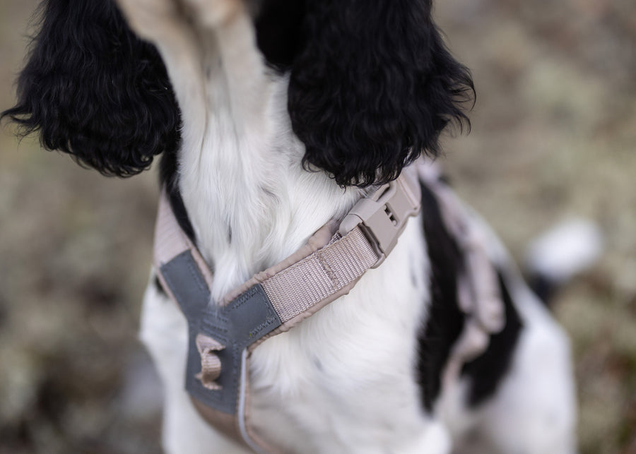 Trekking line harness CLIP'N™ (13)