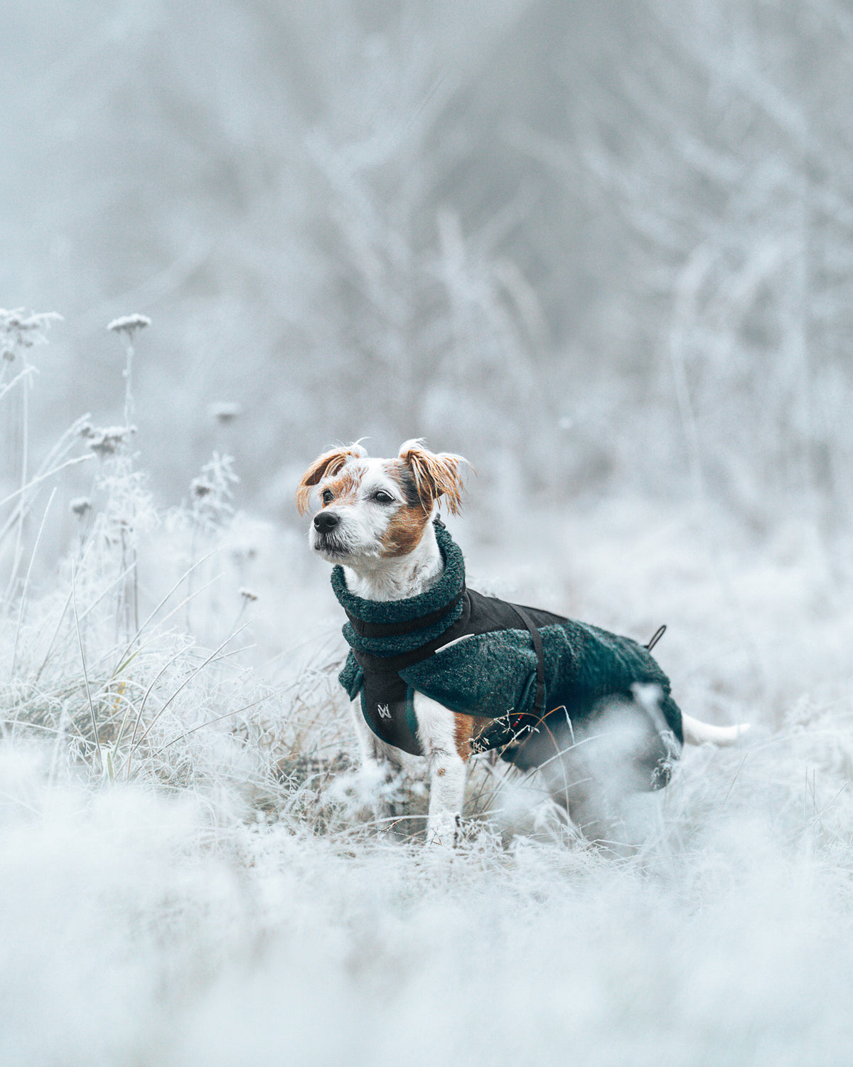 Wool dog jacket (9)