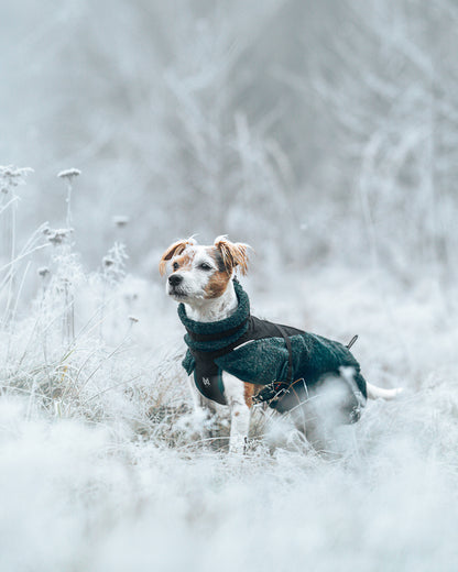 Wool dog jacket (9)